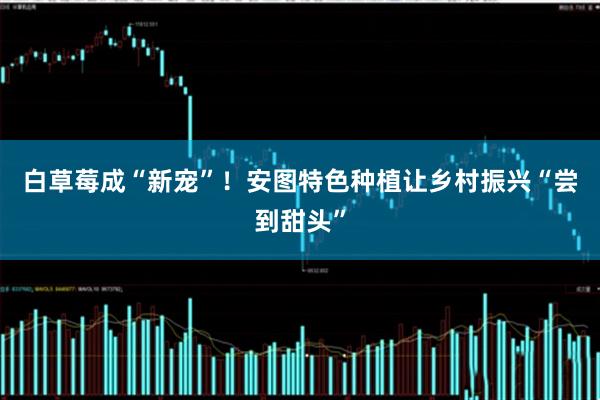 白草莓成“新宠”！安图特色种植让乡村振兴“尝到甜头”