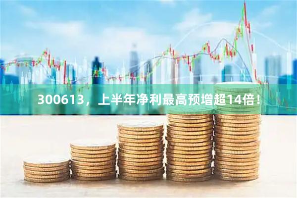 300613，上半年净利最高预增超14倍！